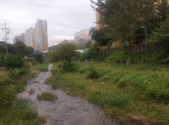 수원지법 2019타경20251-1 사진