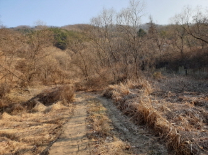 수원지법 2019타경28743-1 사진