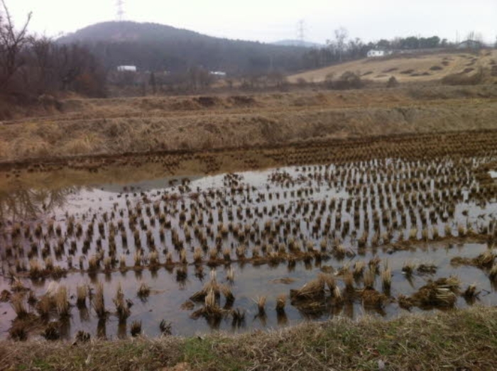수원지법 2019타경504322-2 사진