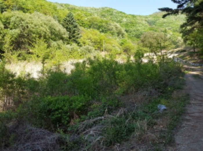 수원지법 2019타경506410-2 사진