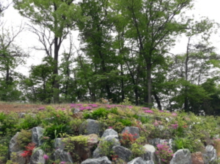 수원지법 2019타경507369-1 사진
