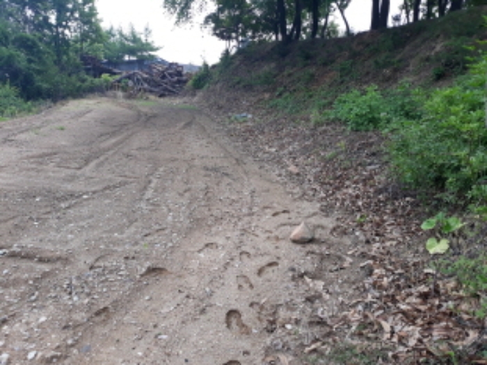 수원지법 2019타경508867-1 사진
