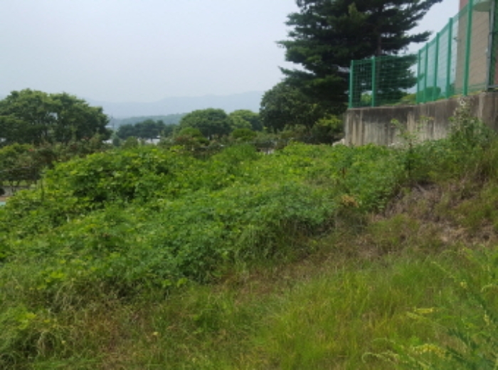 수원지법 2019타경510495-1 사진