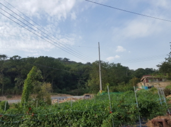 수원지법 2019타경516059-1 사진