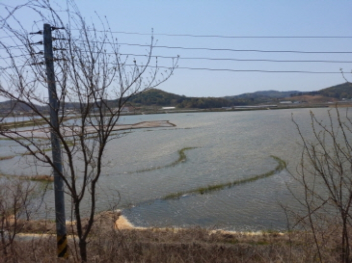 수원지법 2020타경58276-2 사진