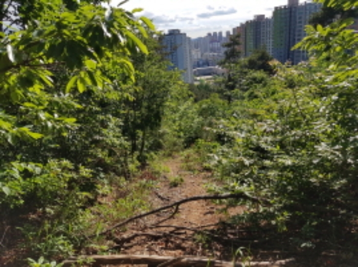 수원지법 2020타경59934-3 사진