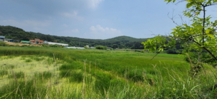 수원지법 2021타경6302-1 사진