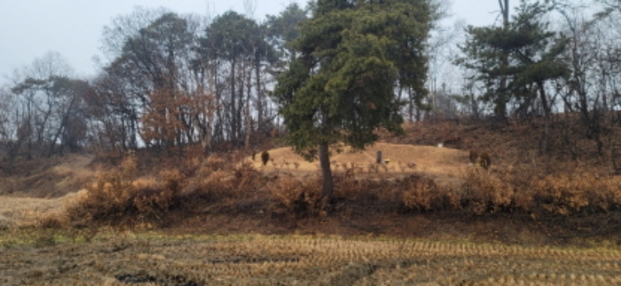 수원지법 2021타경51005-1 사진