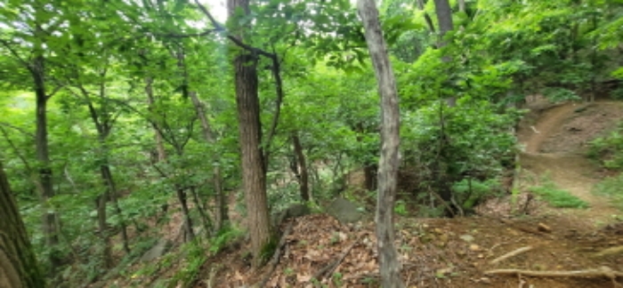 수원지법 2021타경62029-1 사진