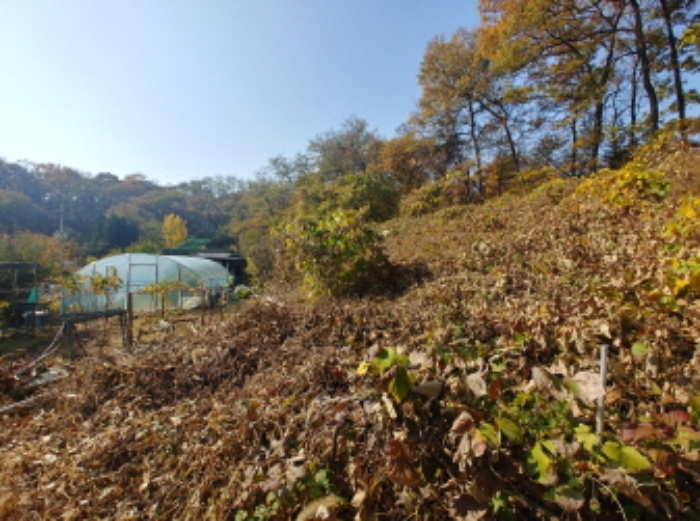 수원지법 2021타경70174-1 사진