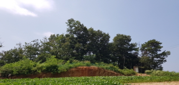 수원지법 2022타경5689-1 사진