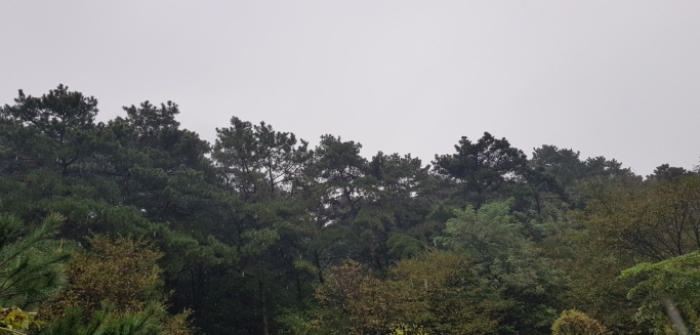 수원지법 2023타경8272-1 사진
