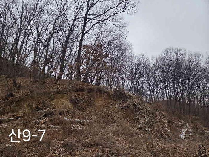 수원지법 2025타경59287-1 사진