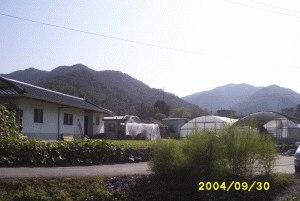 성남지원 2004타경18882-3 사진