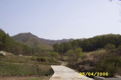 성남지원 2006타경1604-2 사진