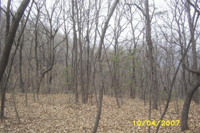 성남지원 2006타경12703-1 사진