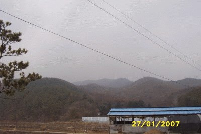 성남지원 2006타경20285-1 사진