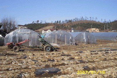 성남지원 2006타경21363-1 사진