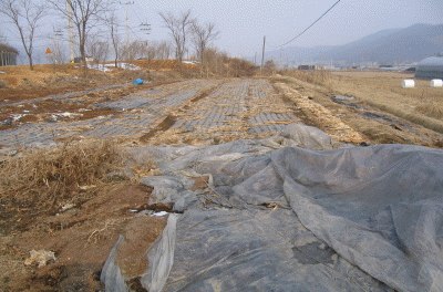 성남지원 2007타경165-2 사진