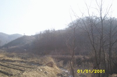 성남지원 2007타경1670-2 사진