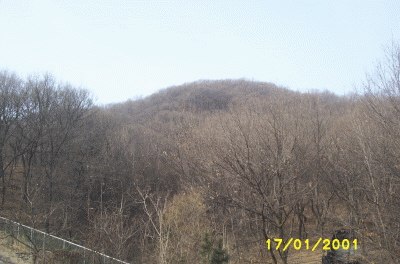 성남지원 2007타경1717-1 사진