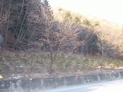 성남지원 2007타경2086-1 사진