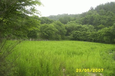 성남지원 2007타경6200-3 사진