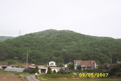 성남지원 2007타경6859-5 사진