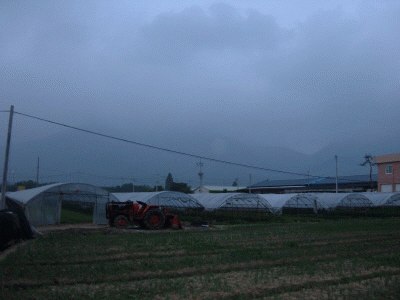 성남지원 2007타경6880-1 사진