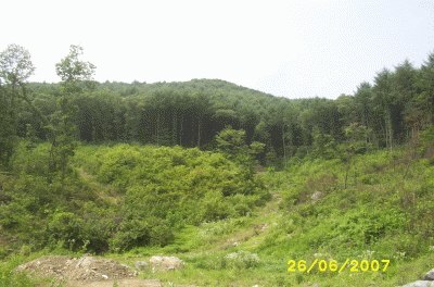 성남지원 2007타경7302-1 사진