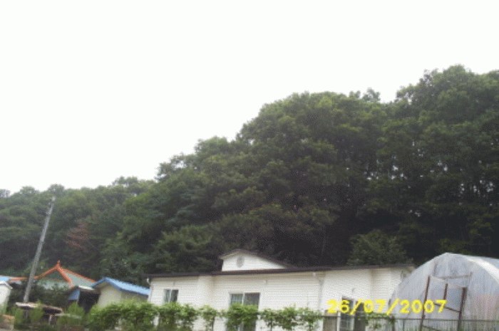 성남지원 2007타경10643-1 사진