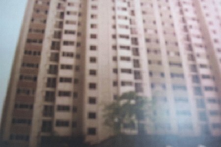 성남지원 2007타경11684-1 사진