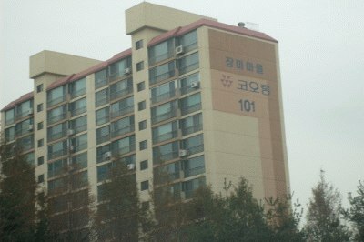 성남지원 2007타경18456-1 사진