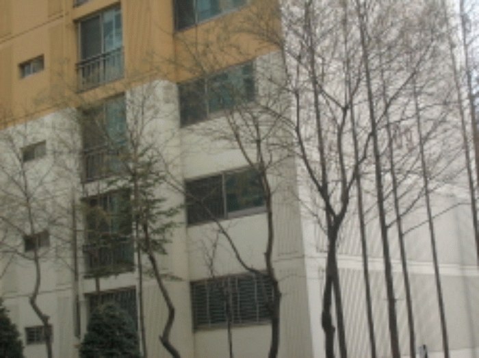 성남지원 2008타경2588-1 사진