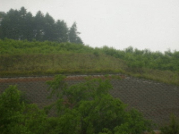 성남지원 2008타경8234-1 사진