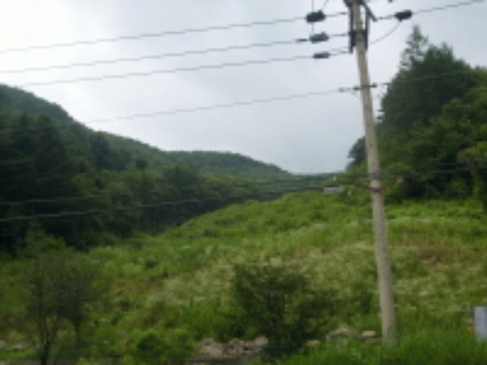 성남지원 2008타경10664-9 사진
