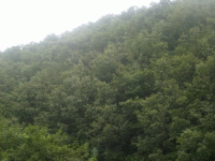 성남지원 2008타경13076-1 사진