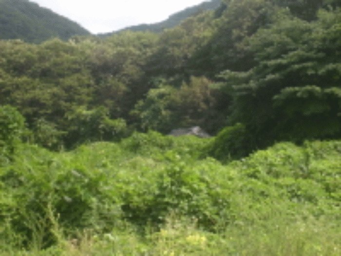 성남지원 2008타경13205-1 사진