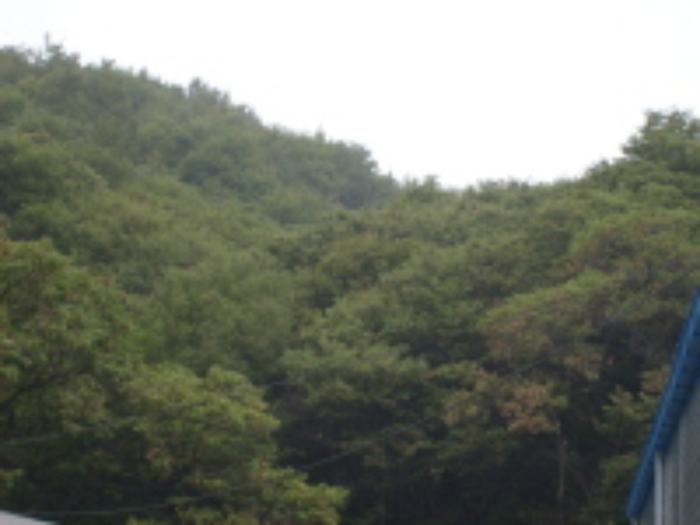 성남지원 2008타경13908-1 사진