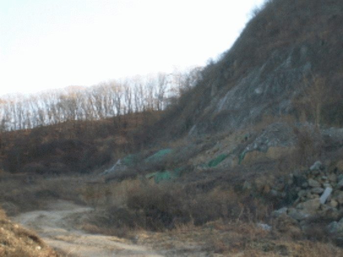 성남지원 2008타경21428-1 사진