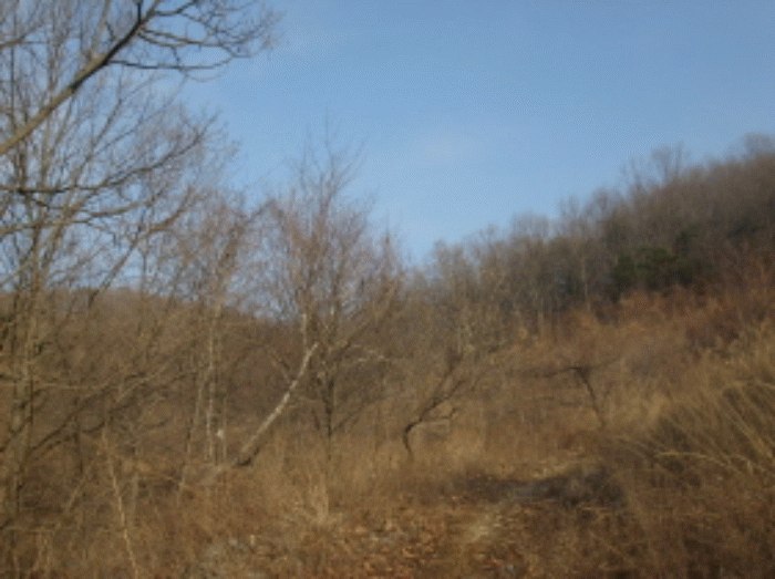 성남지원 2008타경21770-1 사진