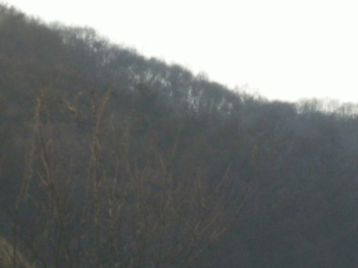 성남지원 2008타경23523-1 사진