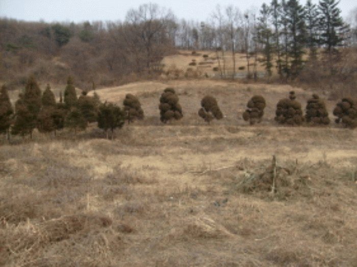 성남지원 2008타경24045-1 사진