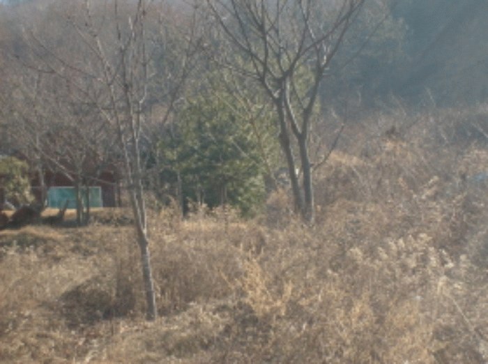 성남지원 2008타경24304-1 사진