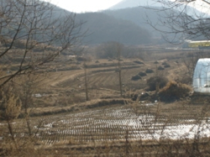 성남지원 2009타경350-1 사진
