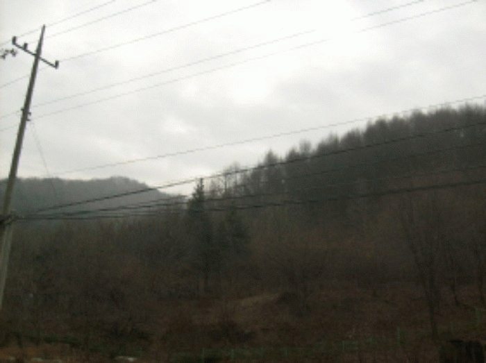 성남지원 2009타경2097-1 사진