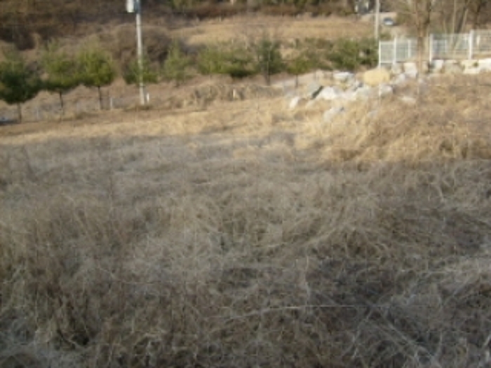 성남지원 2009타경2929-1 사진