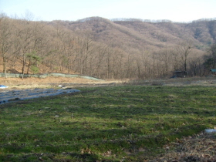 성남지원 2009타경5362-4 사진