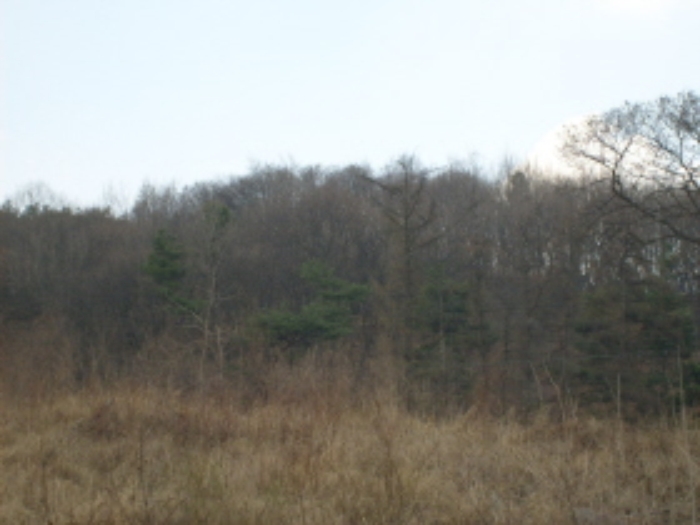 성남지원 2009타경5829-1 사진