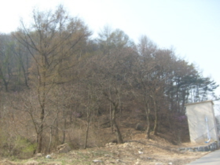 성남지원 2009타경6976-2 사진